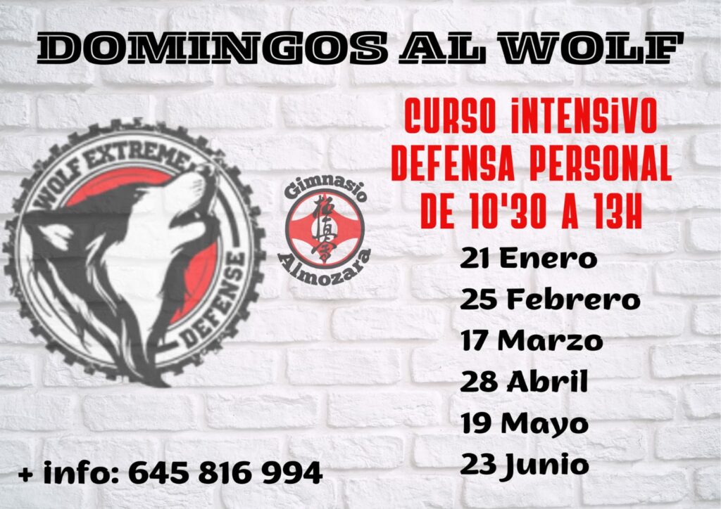 Curso intensivo de defensa personal