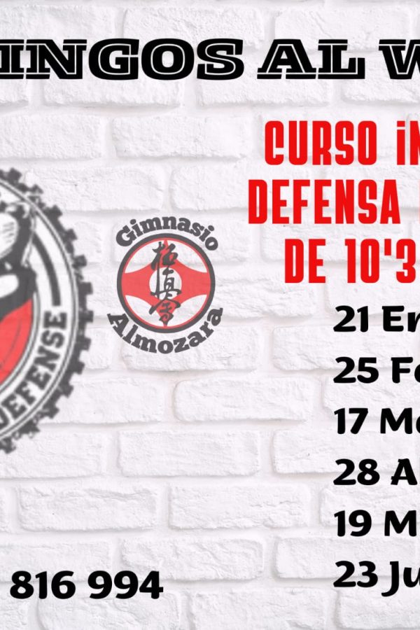 Curso intensivo de defensa personal