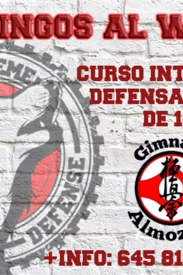 Domingos al Wolf curso intensivo de defensa personal, David Buisan